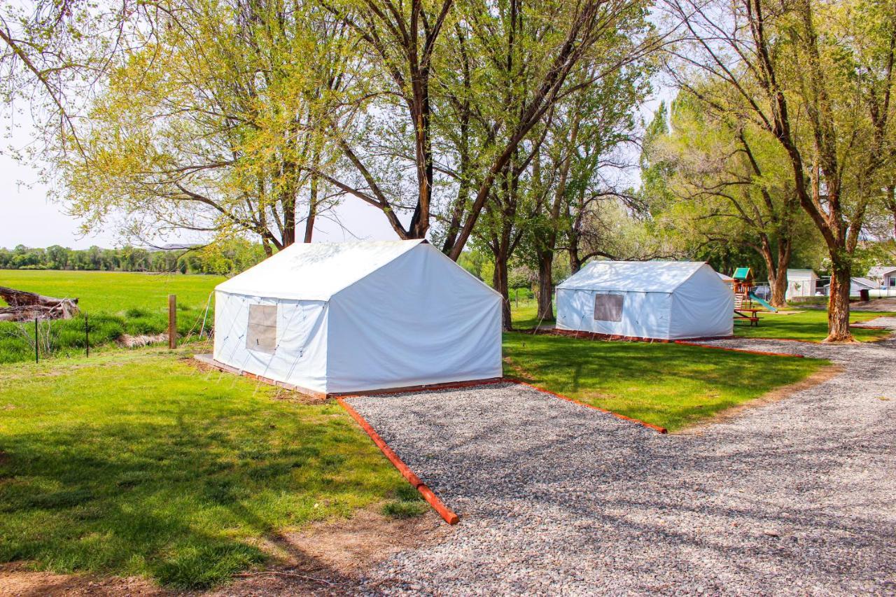 Campsite Shell *