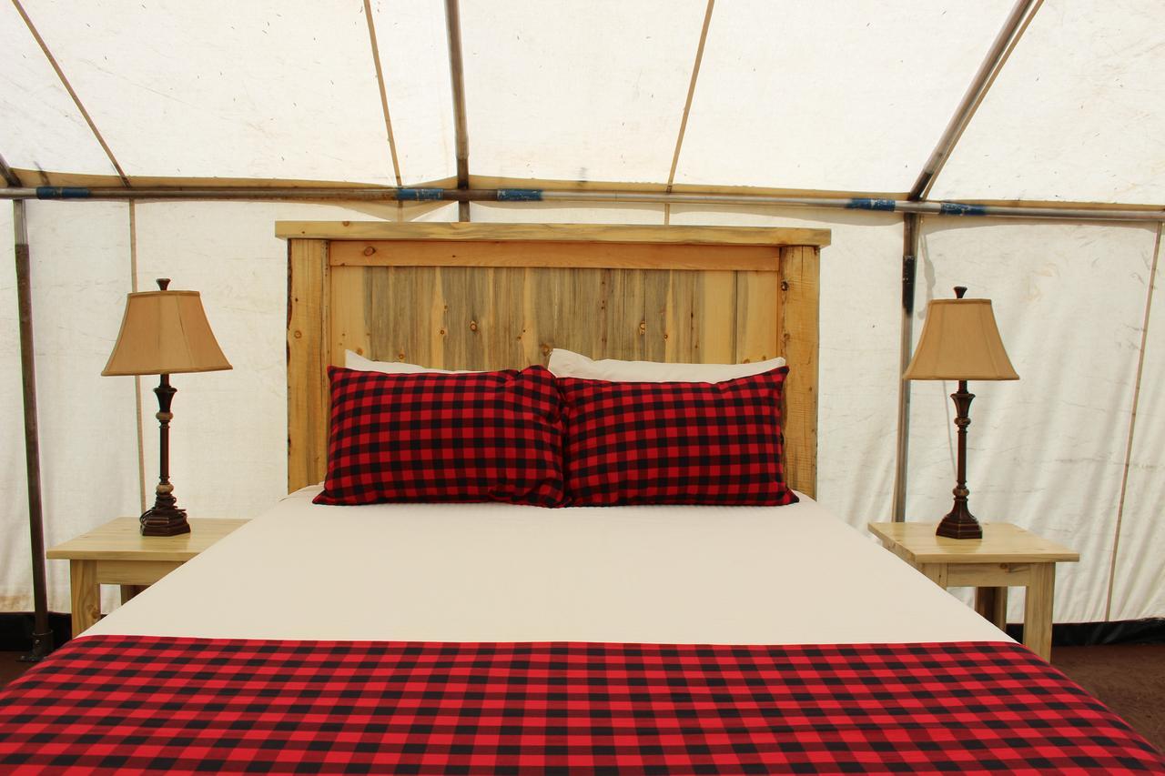 Campsite Shell *
