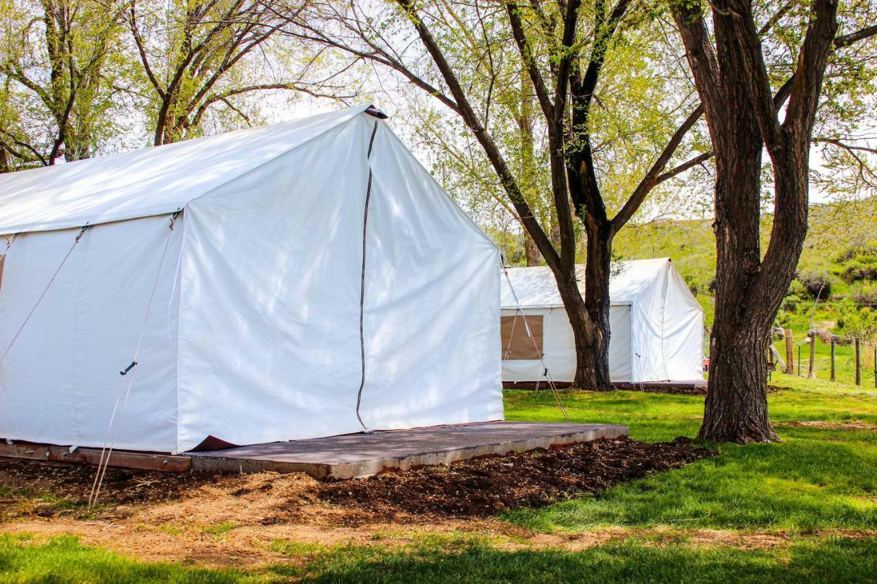 Shell Campsite